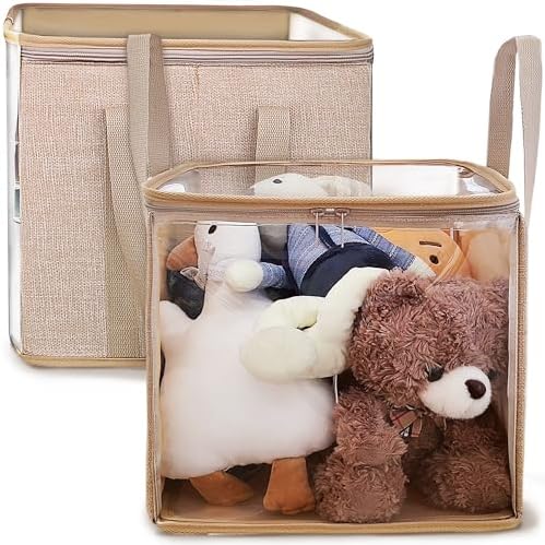 holay 2 Pack Clear Storage Cubes by OrganizeYourLifeWithholay