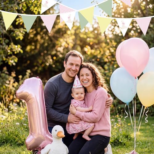 Hahafelt Goose Fabric Banner 1st Birthday Decor - Image 6