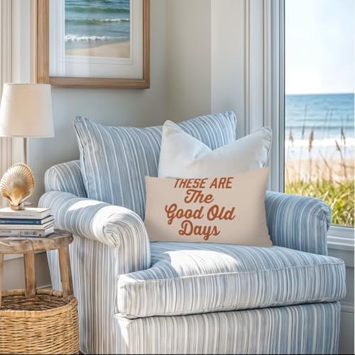 Inspirational These are The Good Old Days 12x20 Pillow Cover, Retro - Image 5