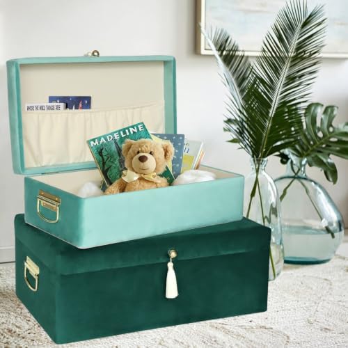 HofferRuffer Velvet Storage Trunks - Image 2