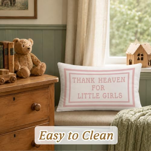 Thank Heaven for Little Girls Pink Baby 12x20 Pillow Cover - Image 3