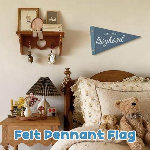 Kids Playroom Decor Pennant Felt Banner Flags, Long Live Boyhood Flet Banner - Image 2