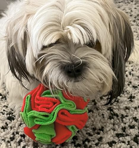Glory To Dog Small Breed Snuffle Ball Foraging Dog Toy Christmas Green/Red - Image 3