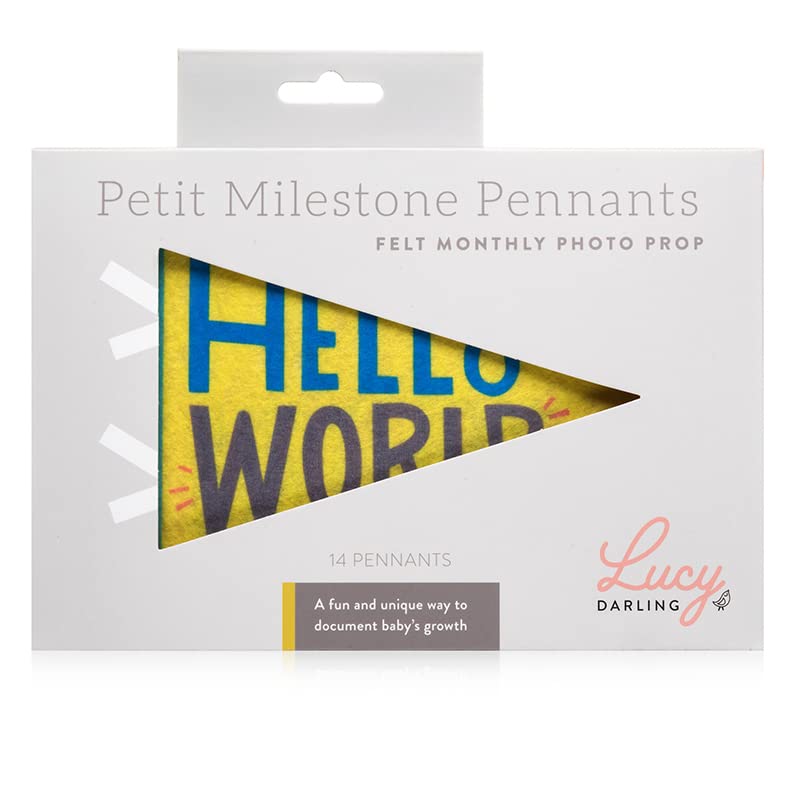 Lucy Darling Petit Milestone Pennants – Baby Monthly Milestone Pennant Flags – Newborn Photo Props & Felt Nursery Decor – Keepsake Banner Set for Baby Photos – Little Kaleidoscope