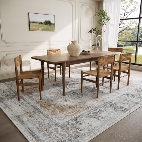 Washable Living Room Area Rug: 5x7 Rugs - Image 3