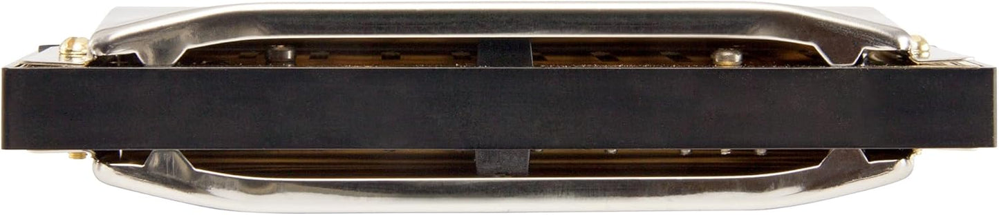 Hohner 560 Special 20 Harmonica - Key of D Bundle with Carrying Case, Key Stickers, Harmonica Beginner Online Manual, and Austin Bazaar Polishing Cloth