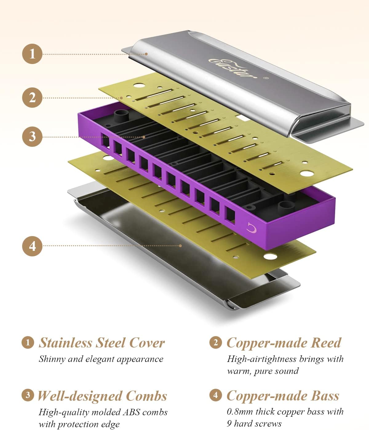 Eastar Major Blues Diatonic Harmonica, 10 Holes C Key Beginner for Kids Children Adults Students, with Hard Case and Cloth, Purple