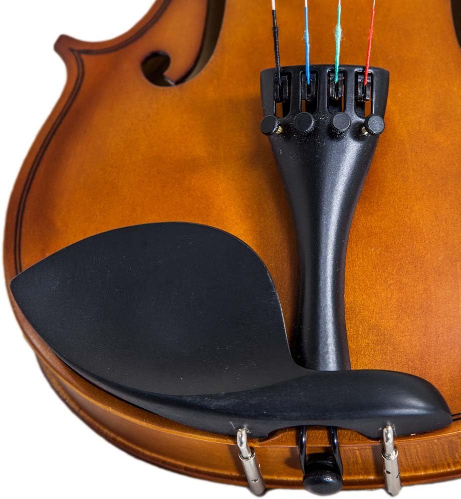 Paititi Artist-100 Student Violin Starter Kit with Brazilwood Bow Lightweight Case, Extra Strings, Rosin and Fingerchart (1/2)