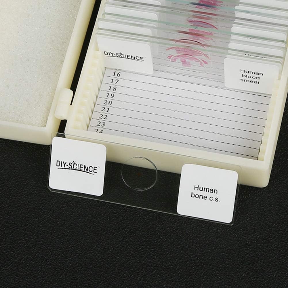 Prepared Human Tissue Anatomy Microscope Slides Set, 17pcs Hand-Prepared Slides Survey The Major Tissues and Organs of Human Body Dedicated to Human Physiology (Human Anatomy)