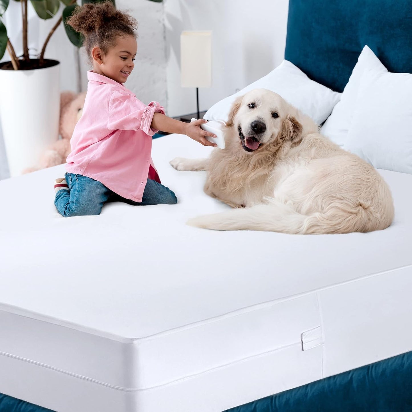 Utopia Bedding Zippered Mattress Encasement Twin Size (Pack of 12), 100% Waterproof, Dust Mite and Bed Bug Proof Mattress Protector, Absorbent 6-Sided Mattress Cover