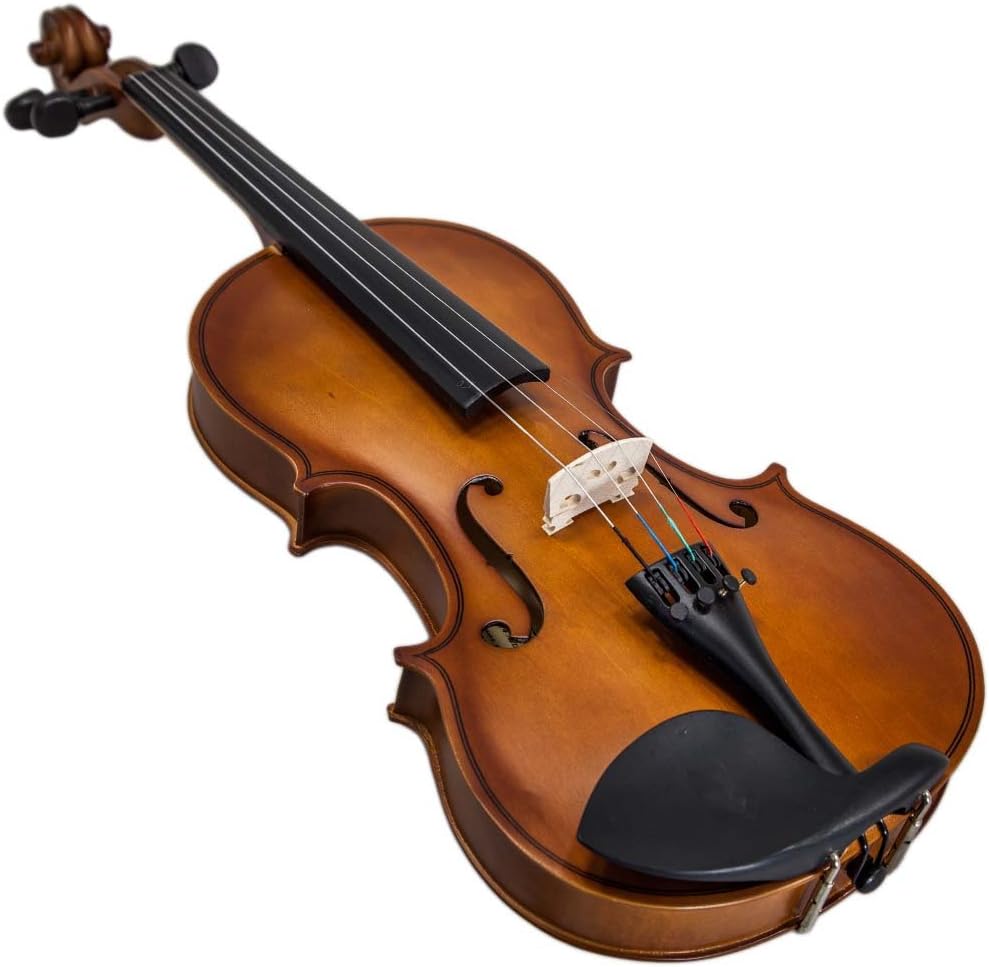 Paititi 4/4 Full Size Artist-100 Student Violin Starter Kit with Brazilwood Bow Lightweight Case, Extra Strings, Rosin and Fingerchart (4/4)