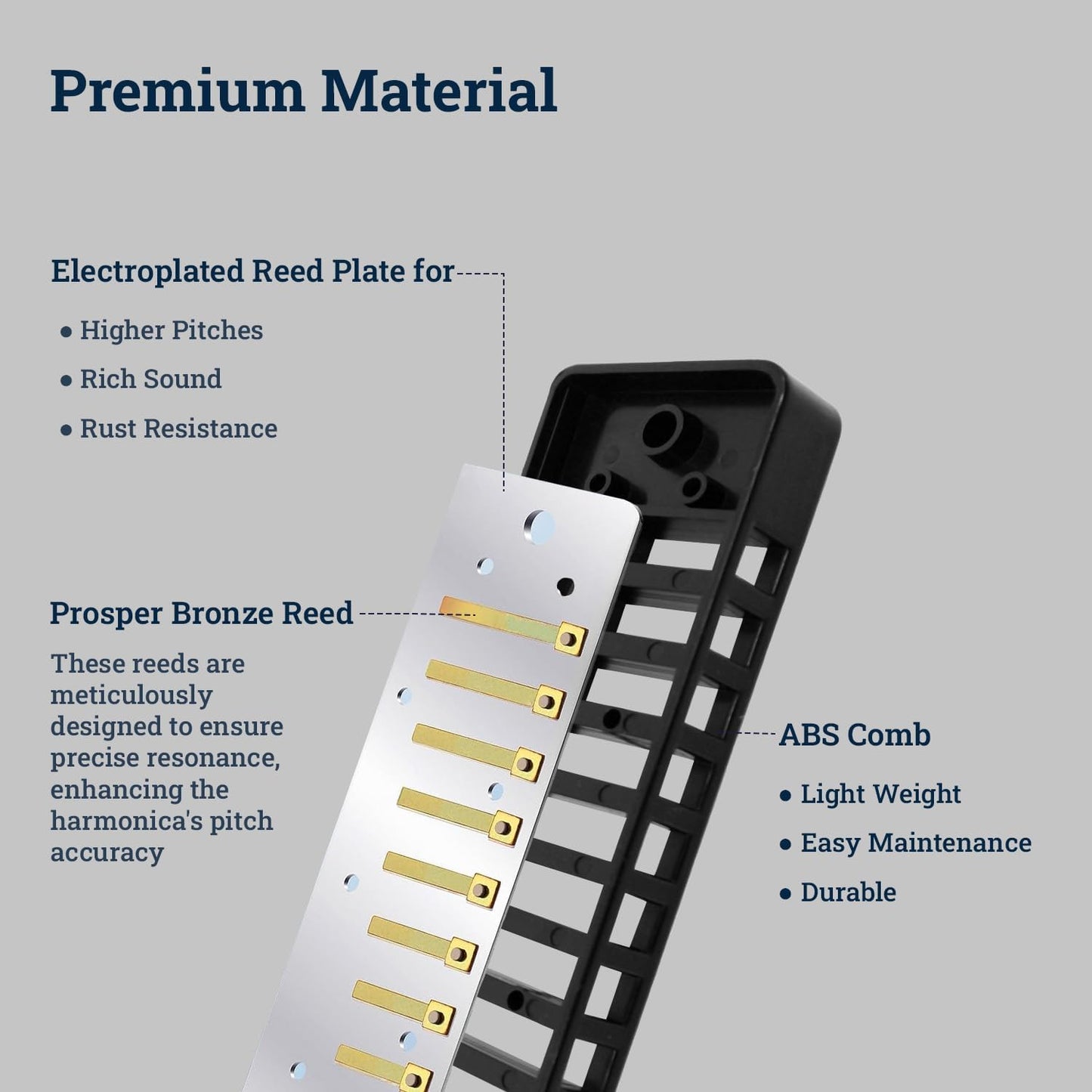 Harmo Polar Diatonic Harmonica Key of Ab - 10 Holes 20 Notes, Blues Harp Mouth Organ With Case, Phosphor Bronze Reeds, Suitable for All Genres, Harmonica for Kids, Adult, Beginners & Professionals