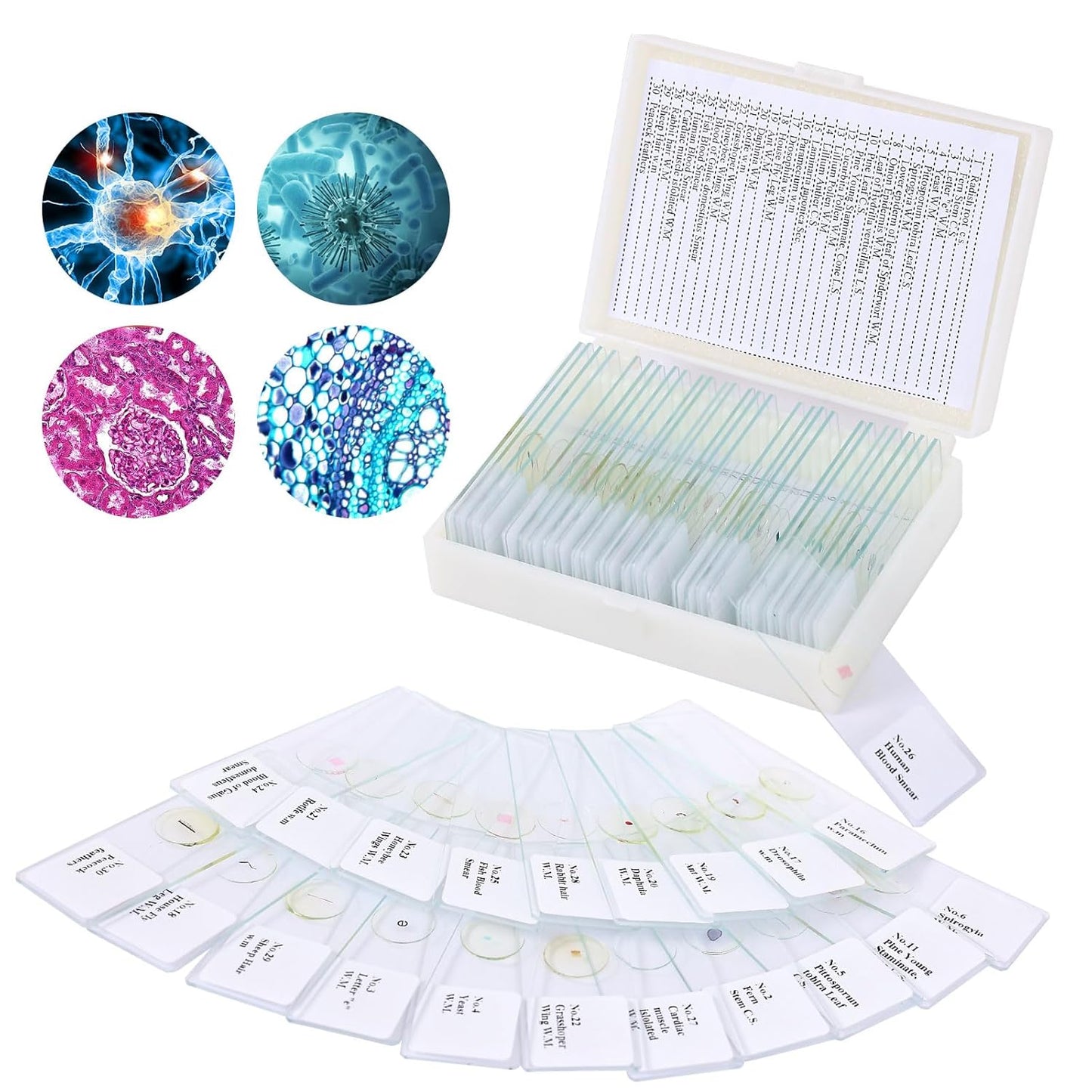 30 Microscope Slides with specimens, Plants, Insects, Animal Cell Samples for use in Biological Science Labs for Children, Students and homeschools
