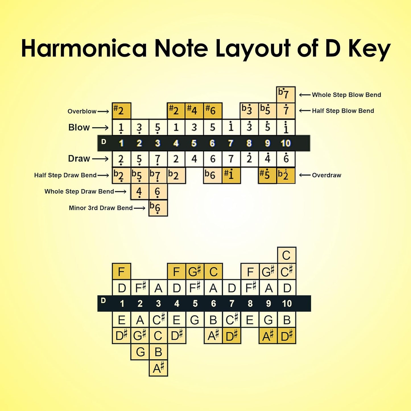 Diatonic Harmonica of D Key,Blues Mouth Organ 10 Holes 20 Tones, Reed of Phosphor Bronze, ABS Combo, Easy-Clean Cover,10 Holes Blues Harp for Adult, Beginner