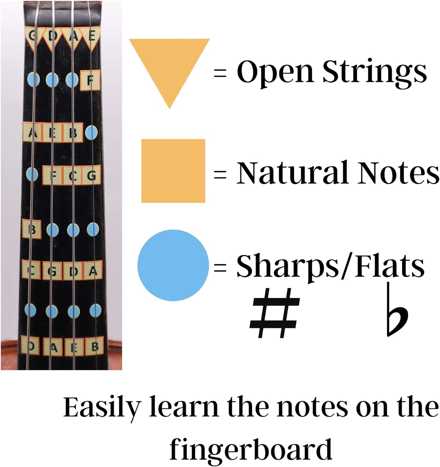Fantastic Finger Guide for Violins Kids/Adult Beginner | Stringed Musical Instruments | Fingerboard and Fretboard Stickers for Learning All Notes | Play or Fiddle, 4/4-Size