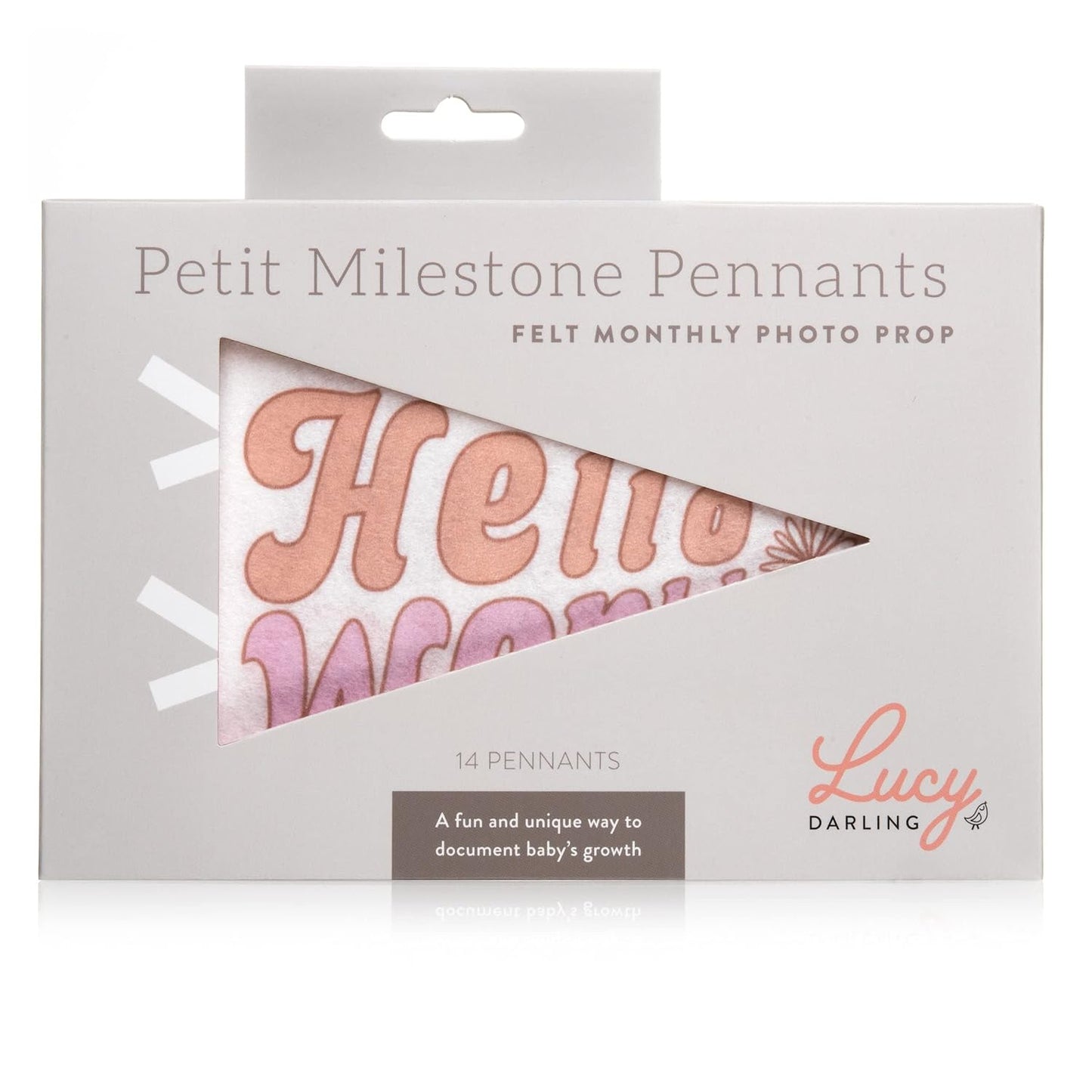 Lucy Darling Petit Milestone Pennants – Baby Monthly Milestone Pennant Flags – Newborn Photo Props & Felt Nursery Decor – Keepsake Banner Set for Baby Photos – Flower Child