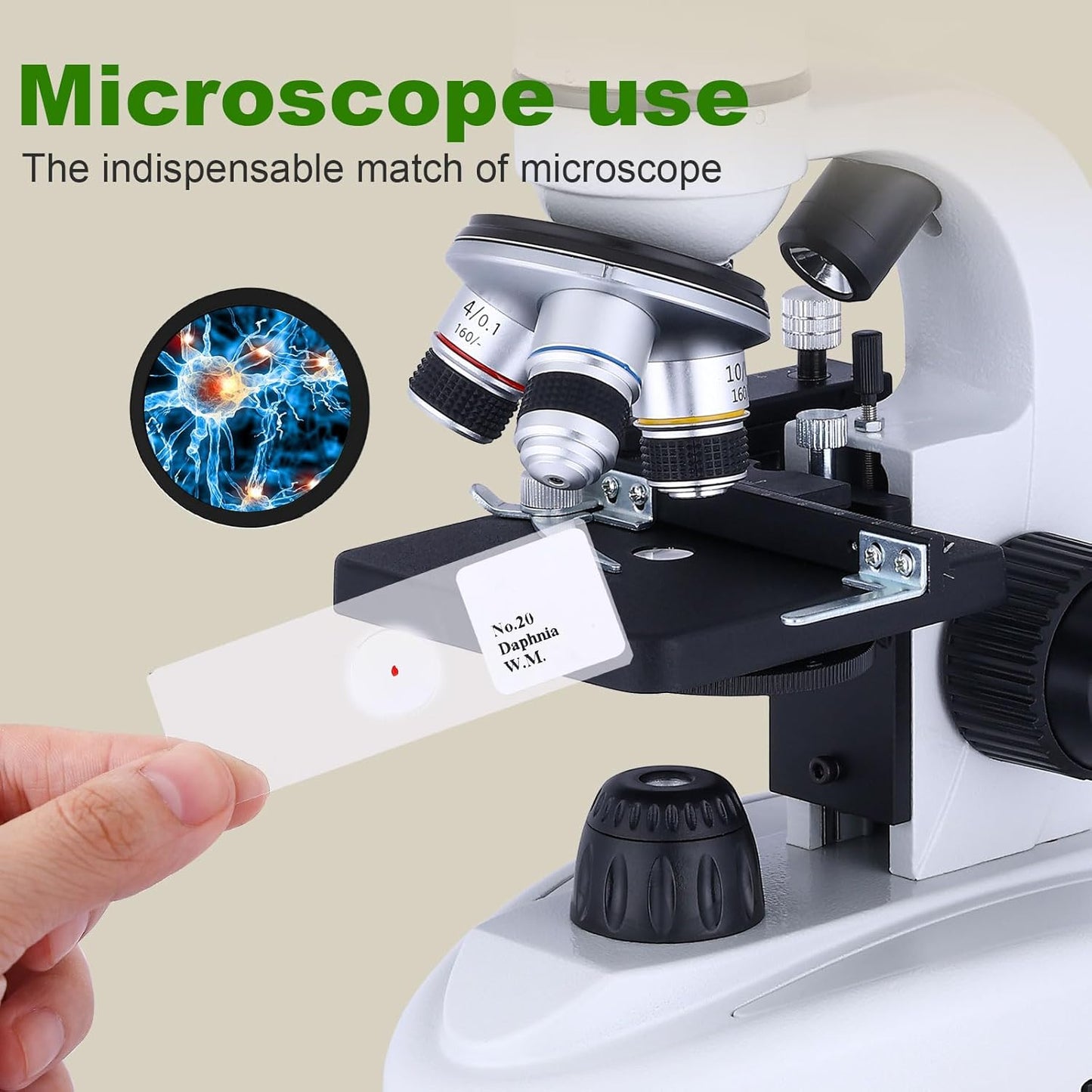 60 Pieces Prepared Microscope Slide Set with Specimens, Plant Animal Cell Science Education Microscope Slides for Bioscience Labs
