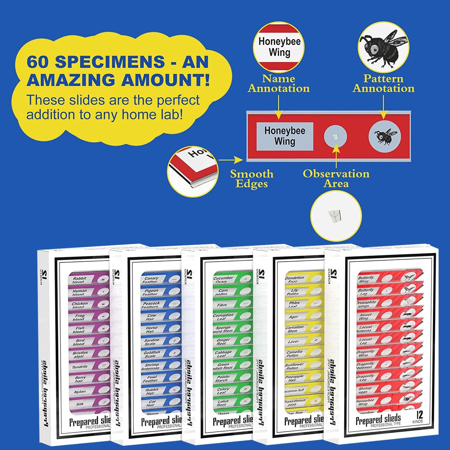 60Pcs Prepared Microscope Slides Specimen Animals Insects Plants Flowers Sample Biological Specimen, Stereo Microscope Slide for Kids Children Students Enlighten Education