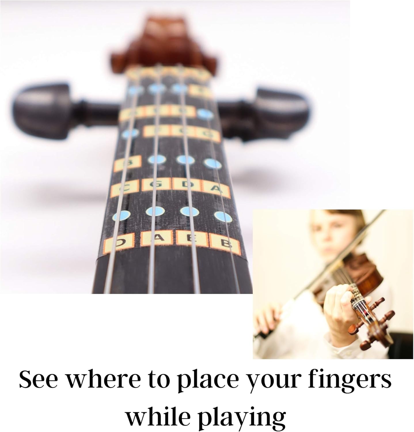 Fantastic Finger Guide for Violins Kids/Adult Beginner | Stringed Musical Instruments | Fingerboard and Fretboard Stickers for Learning All Notes | Play or Fiddle (1/4)