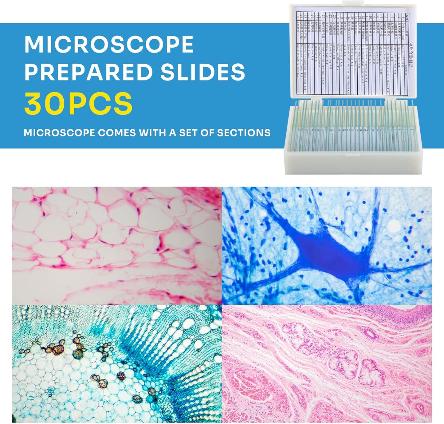 40X-2000X Microscopes for Kids Students Adults, with Microscope Prepared Slides 30p, Microscope Accessories, Phone Adapter, Microscopes for School Laboratory Home Education