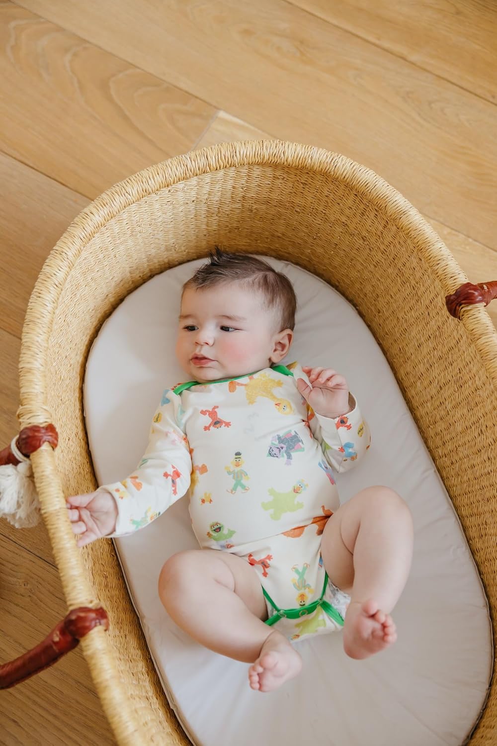 Copper Pearl Long Sleeve Bodysuit Baby: Ultra Soft Baby for Newborns, Boys, and Girls - Stylish, Comfortable, Overlap Shoulders, Premium Knit Fabric - 0-3 Months, Sesame Friends