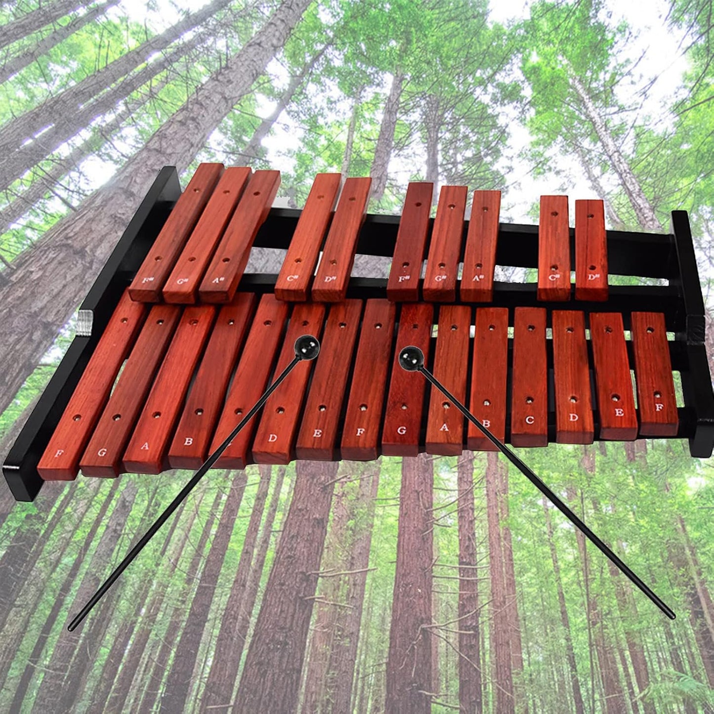 TNZMART 25 Note Xylophone Wooden Glockenspiel Xylophones with Mallet Professional Percussion Instrument (Xylophone)