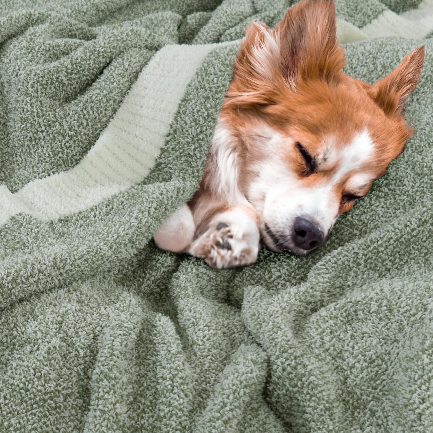 NEXHOME PRO Twin Size Super Soft Throw Blankets for Couch, Cozy Blankets Reversible Warm Knit Blanket for Women, Fuzzy Plush Lightweight Throws for Sofa, Bed, Picnic, Sage Green White, 60 x 80 inches