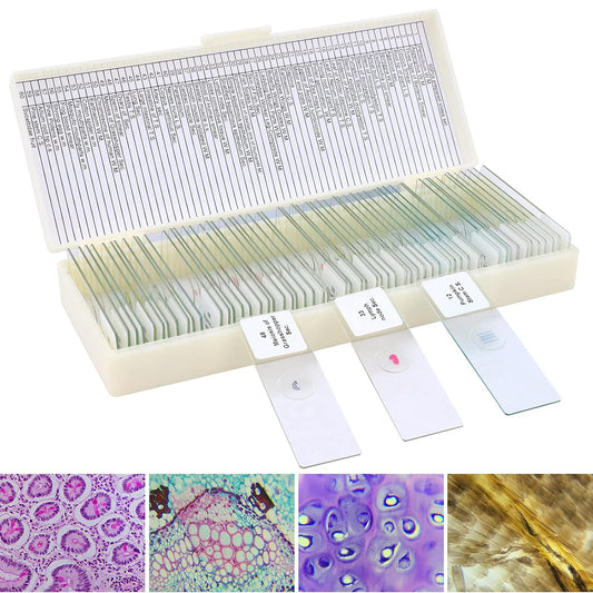 60 Microscope Slides with Specimens for Kids, Prepared Microscope Slides for Kids Microbiology, Prepared Microscope Slides for Adults
