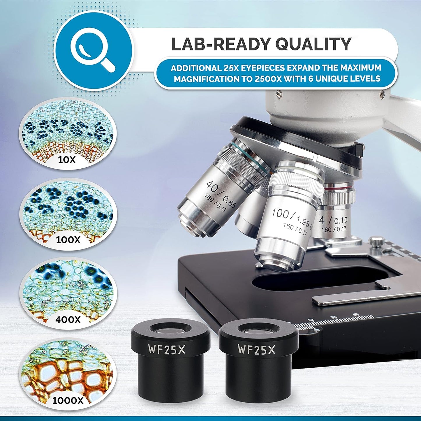 AmScope B120C-WM-BS Siedentopf Binocular Compound Microscope, 40X-2500X Magnification, Brightfield, LED Illumination, Abbe Condenser, Double-Layer Mechanical Stage, Includes Book, 50 Blank Slides, and 100 Coverslips